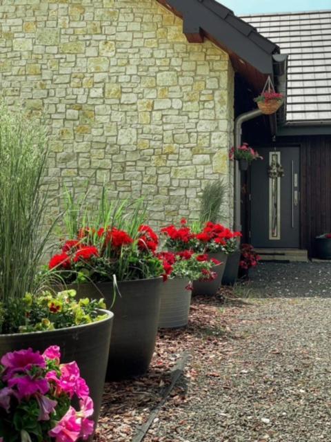 Boski Zakatek Wielka Wies  Ngoại thất bức ảnh